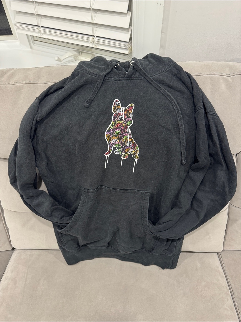 Black Pullover Hoodie with Colorful Dog Graphic